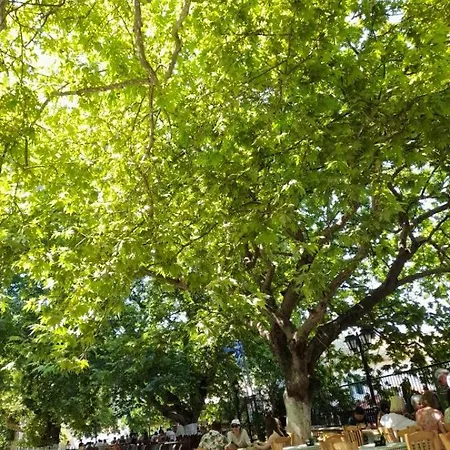 Karya House Apartament Kariá