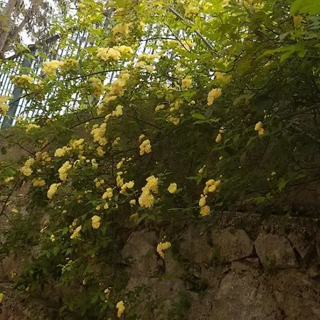 Karya House Apartament Kariá