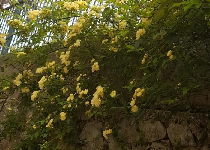 Karya House Διαμέρισμα Καρυά