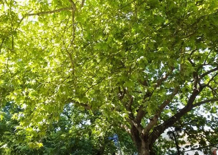 Karya House Διαμέρισμα Καρυά